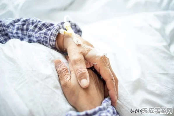 揭秘模拟人生4绿洲泉，遗忘洞穴的奇幻之旅与详尽进入攻略