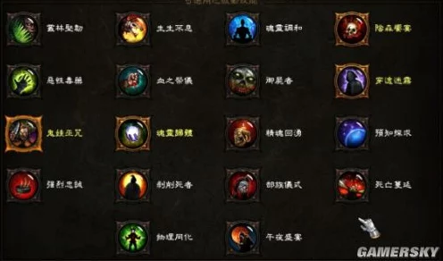 暗黑3巫医传奇属性与巅峰等级加点全攻略