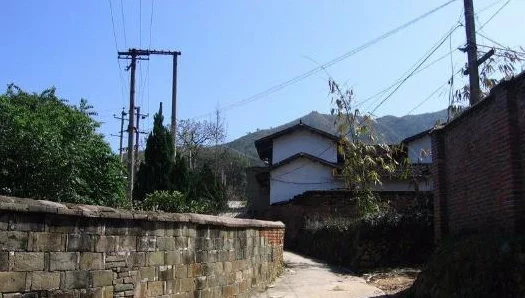 第五人格蜘蛛角色绝技揭秘，结网大师养成攻略及实战教学视频发布