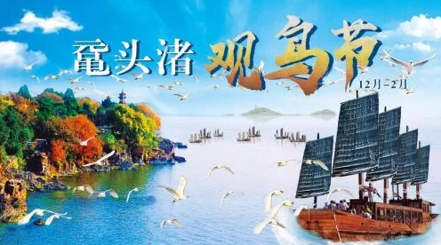 心动小镇观鸟大赛启幕，揭秘自然秘境，邂逅羽翼精灵