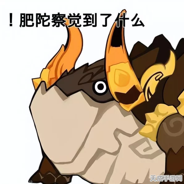 原神钓鱼大赛攻略，揭秘假龙之钓最佳钓点与技巧