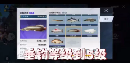 和平精英绿洲世界钓鱼秘籍，掌握技巧，赢取珍稀奖励！