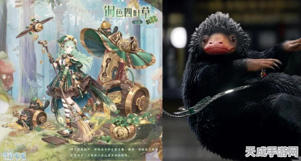 奇迹暖暖，揭秘金大喵摆件高效获取策略，赢取限量萌宠攻略