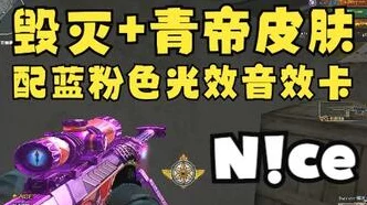 CF荣耀世冠皮肤交易揭秘，珍稀皮肤背后的市场风云