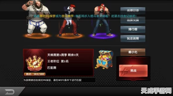 拳皇97OL高手进阶，揭秘顶尖角色战力培养秘籍