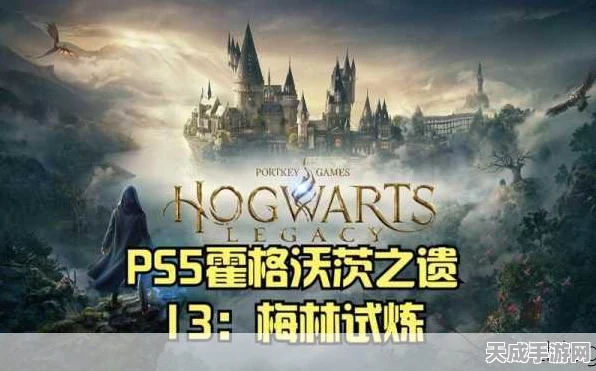 霍格沃茨之遗，揭秘梅林试炼的终极通关秘籍与隐藏挑战