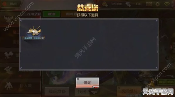 穿越火线手游，揭秘圣龙项链的神秘属性与实战应用