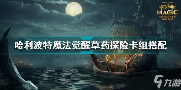 哈利波特魔法觉醒，揭秘魔杖更换秘籍，打造专属魔法之旅