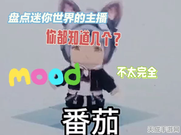 迷你世界主播大揭秘，知名播主风采展示及最新动态速递