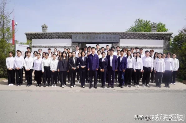 少女前线融合势力强度全解析，实战数据与技能搭配揭秘