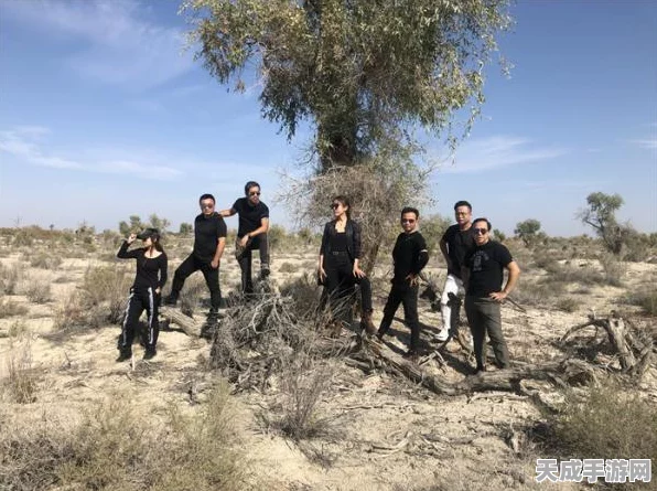 探秘不朽之旅，远古遗迹地下城堡深度解析与攻略