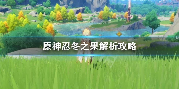原神攻略揭秘，忍冬之果最佳角色搭配及实战应用