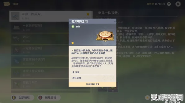原神雷主圣遗物搭配与主C玩法全攻略，解锁极致输出潜能
