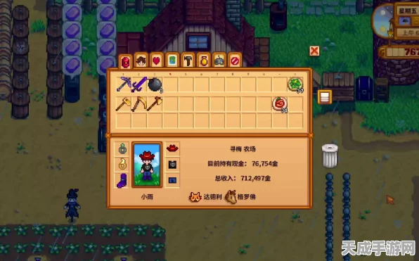 星露谷物语，全面揭秘设备功能与高效利用技巧