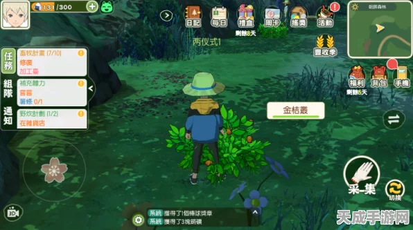 小森生活，揭秘三国黑甲虫全面属性与实战性能评估
