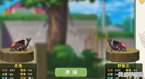 小森生活，揭秘三国黑甲虫全面属性与实战性能评估