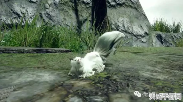 怪物猎人，崛起揭秘，探索神秘环境生物，鬼火鸟与烟雪鼬设计细节大公开