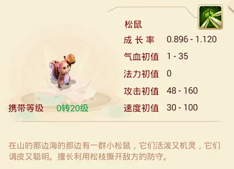 大话仙境后山松鼠采集大赛攻略，高效技巧助你夺冠！