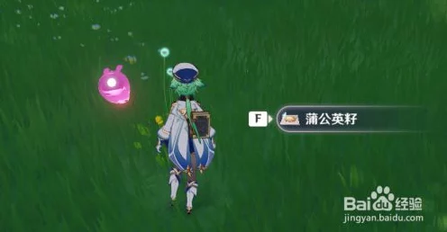 原神蒲公英分布全揭秘，助你快速收集，赢取限定奖励！