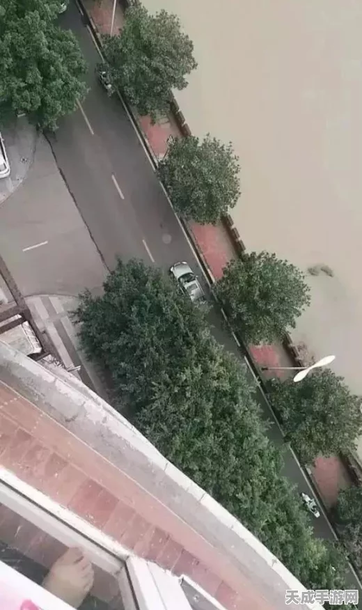 百度贴吧直播新攻略，轻松开启你的直播之旅，探索互动新玩法！