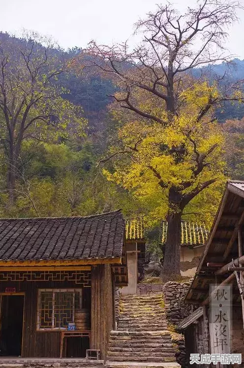 桃源秘境大揭秘，桃源深处有人家南有乔木寻萝挖宝全攻略