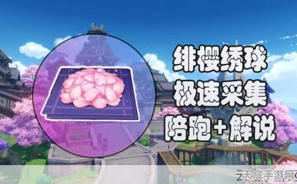 原神深度攻略，绯樱绣球采集大赛路线全解析，梦幻之花等你摘！