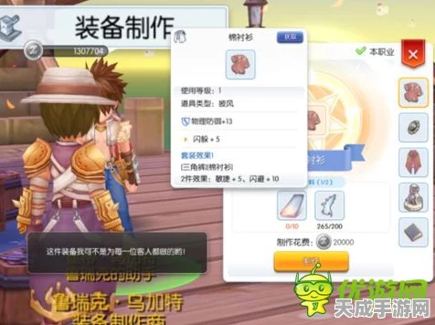 仙境传说RO手游顶尖攻略，双刃刺客装备精选与搭配秘籍