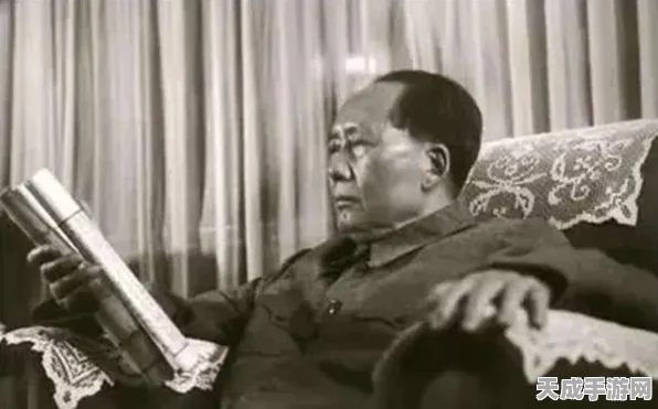 三国志14新武将争霸，权威解析顶尖战将实力排行及独家赛事亮点