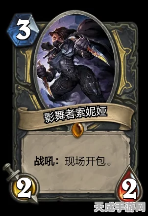 炉石传说深度解析，先知维纶卡牌图鉴全揭秘
