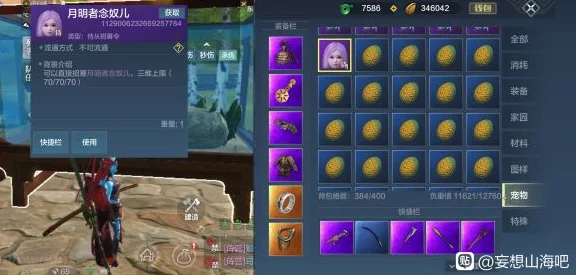 妄想山海风露浊珍稀道具获取攻略，解锁全新游戏乐趣！