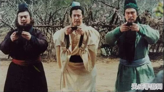 独家揭秘，袁术副本终极攻略，助你轻松攻城掠地！