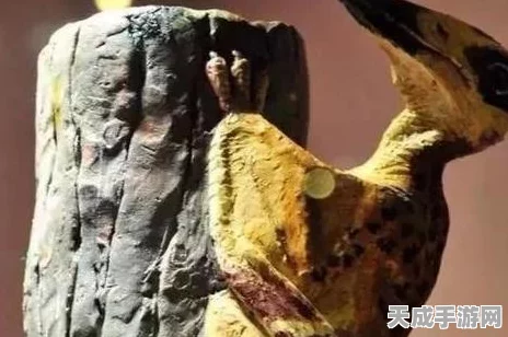 宝可梦大探险，化石翼龙技能搭配攻略，竞技场称霸必备！