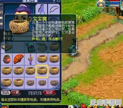 梦幻西游深度解析，三界功绩的奇妙用途与最新赛事揭秘