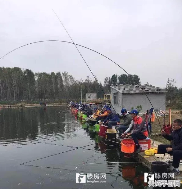 心动小镇钓鱼大赛揭秘，掌握幽光章鱼垂钓绝技！
