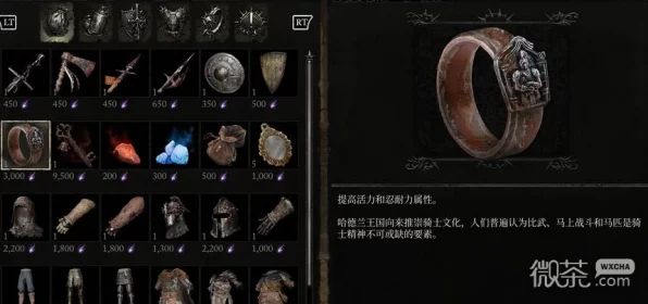 堕落之主顶尖装备大揭秘，职责戒指获取秘籍与实战攻略