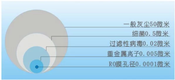 RO手游买号安全攻略，精准筛选，远离陷阱，找到心仪账号