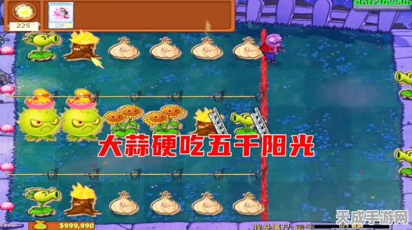 植物大战僵尸融合版揭秘，金蒜融合策略与独家赛事细节