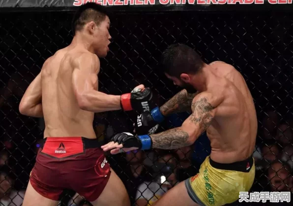 UFC2闪耀格斗舞台，中国力量崛起，揭秘闯入UFC的顶尖选手