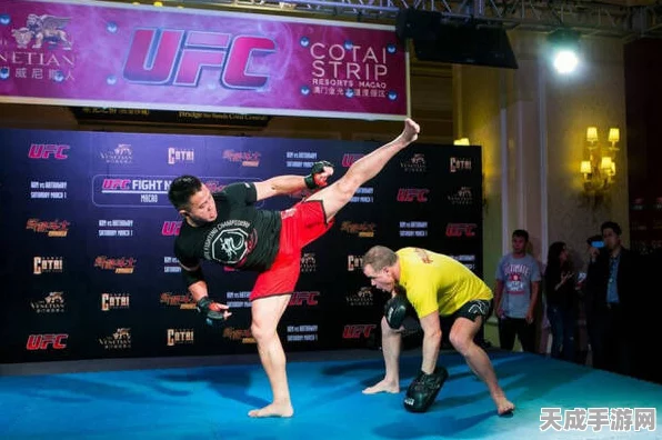 UFC2闪耀格斗舞台，中国力量崛起，揭秘闯入UFC的顶尖选手