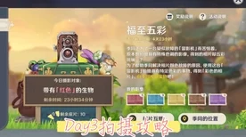 原神福至五彩活动，掌握拍照技巧，赢取丰厚奖励！