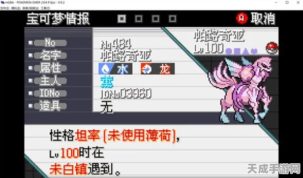 揭秘口袋妖怪绿宝石金手指，作弊背后的真相与游戏新动向
