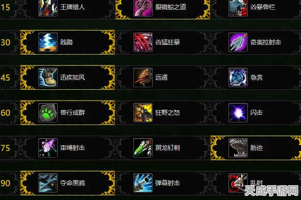 魔兽世界正式服，兽王猎天赋加点全攻略，打造顶级猎人！