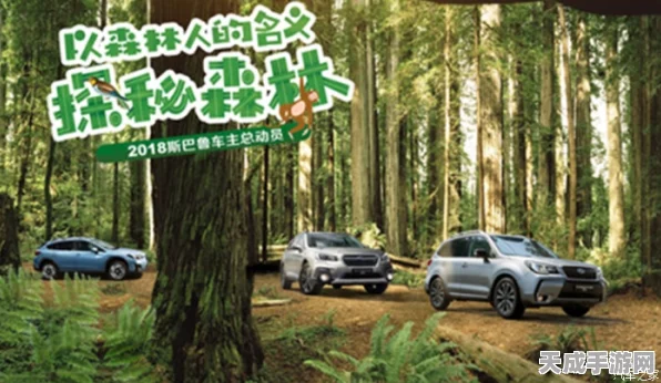 大脚怪森林护林员中文版，探索神秘森林的趣味休闲益智之旅