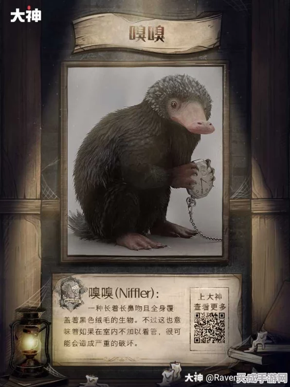 哈利波特，魔法觉醒——揭秘入口庭院嗅嗅藏匿之谜
