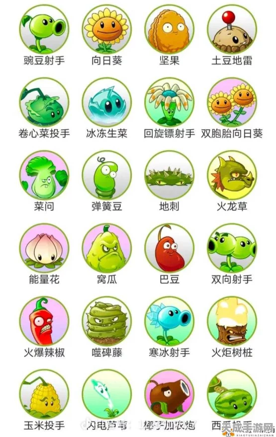 解锁秘籍！植物大战僵尸2中文版全植物获取攻略大公开
