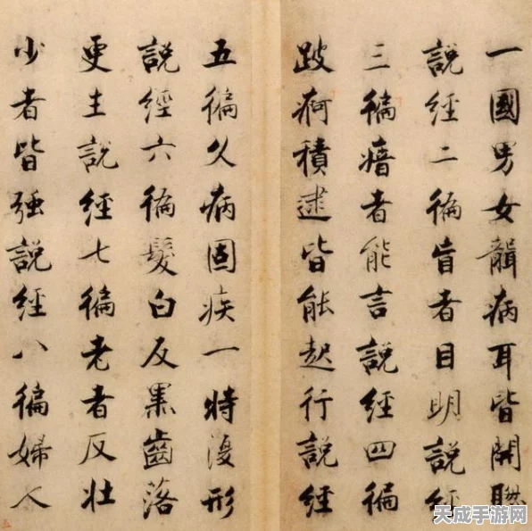 洛克王国玉衡山海新挑战，无宠竞技，策略为王！