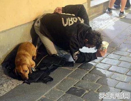 乞讨大师风靡全网，老番茄力荐的乞丐模拟器，你准备好了吗？