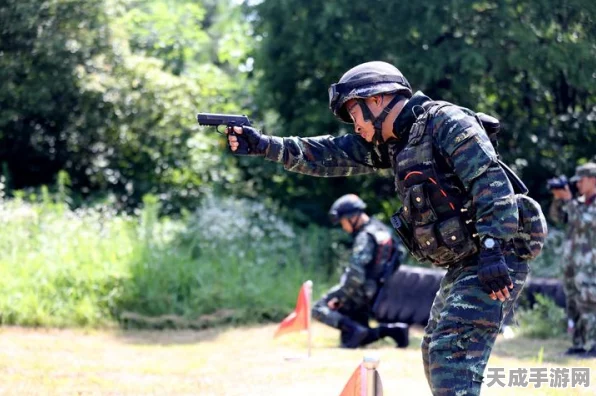帝国时代2战术揭秘，巧妙应对不列颠弓弩手的致命射击