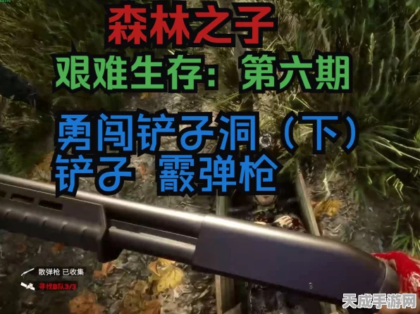 森林之子，霰弹枪获取攻略大揭秘，探险必备神器！