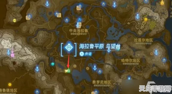 塞尔达王国之泪，解锁拍照功能全攻略，探索游戏世界的绝美瞬间！